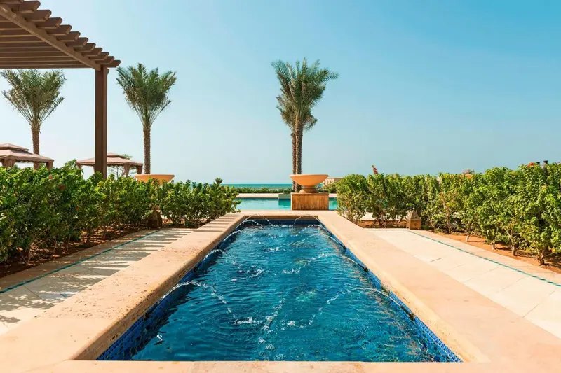 Une piscine rectangulaire bordée de végétation luxuriante sous un ciel bleu clair.