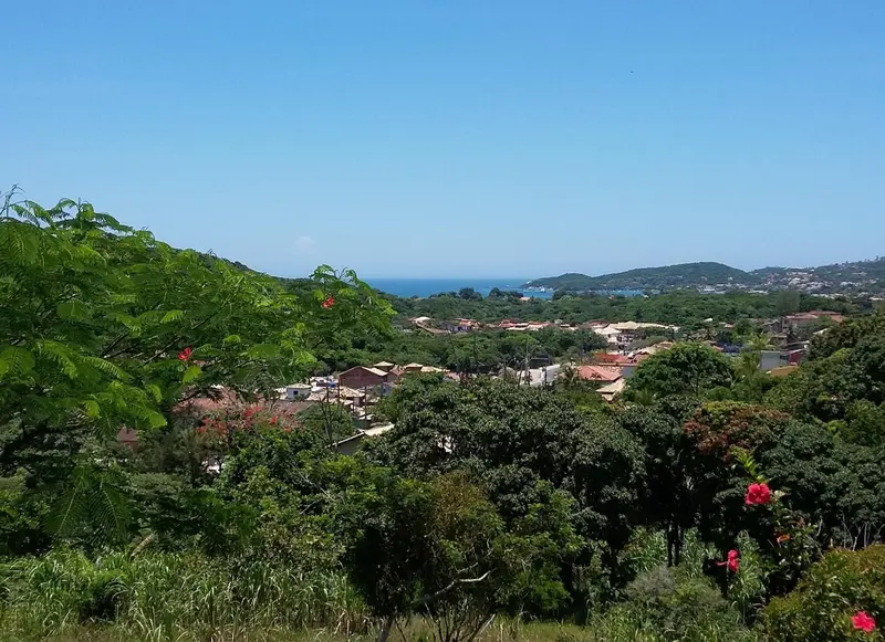 Vue panoramique sur une végétation luxuriante et une côte ensoleillée.
