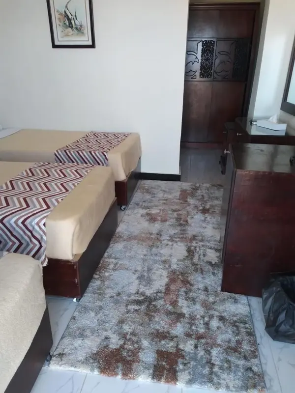 Une chambre avec deux lits et un tapis au sol.