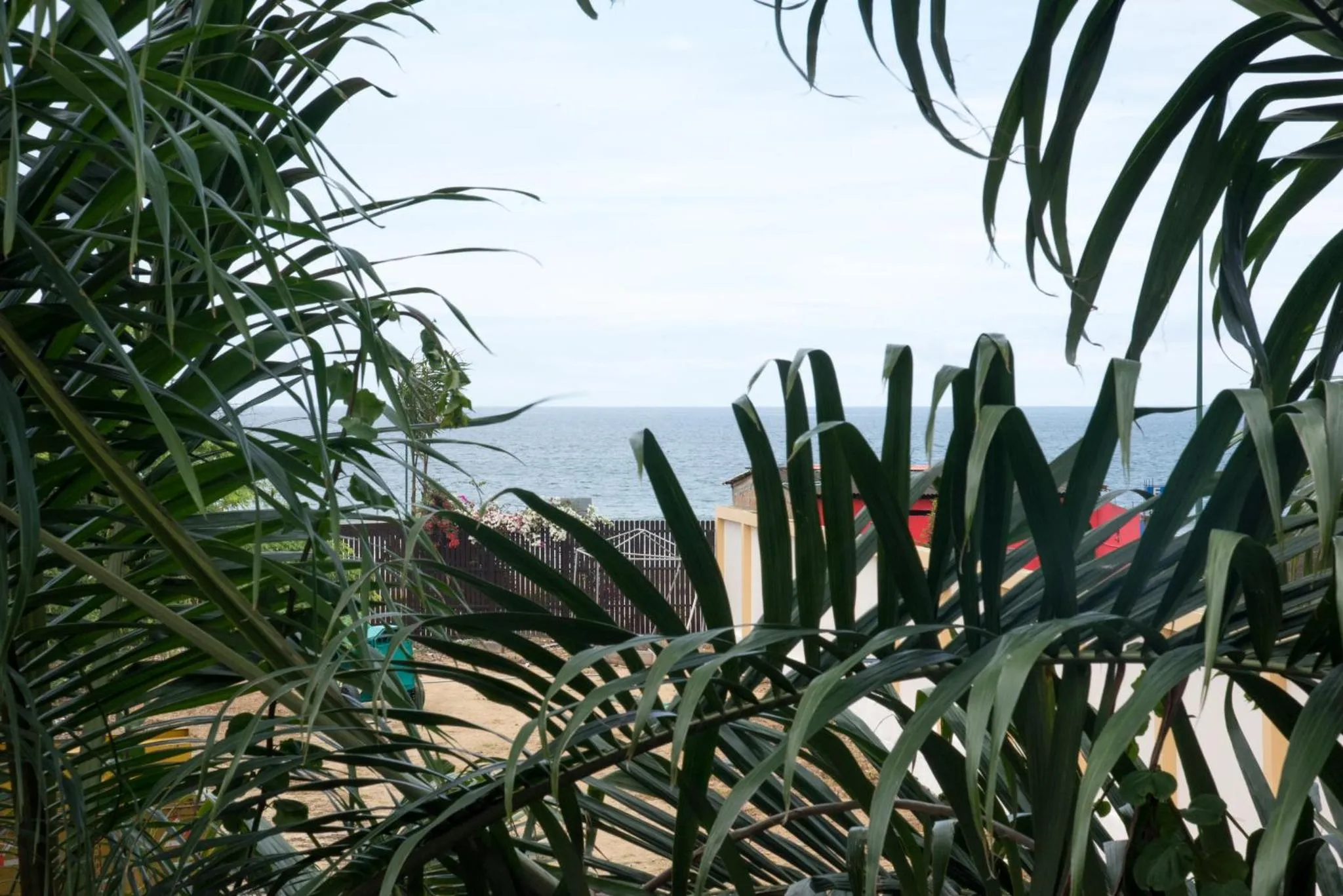 Vue sur la mer depuis un jardin tropical.