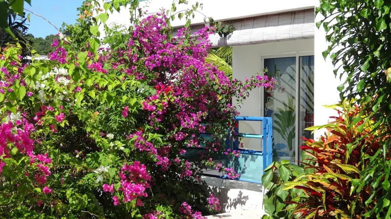 Une façade blanche ornée de bougainvillées fuchsia et de plantes tropicales.