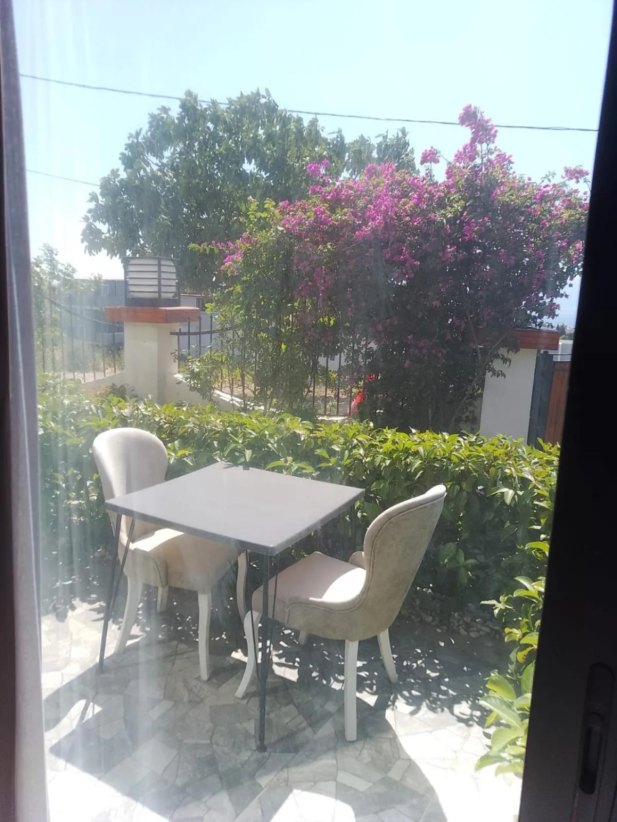 Une table et des chaises sont disposées sur une terrasse ombragée par des arbres en fleurs.