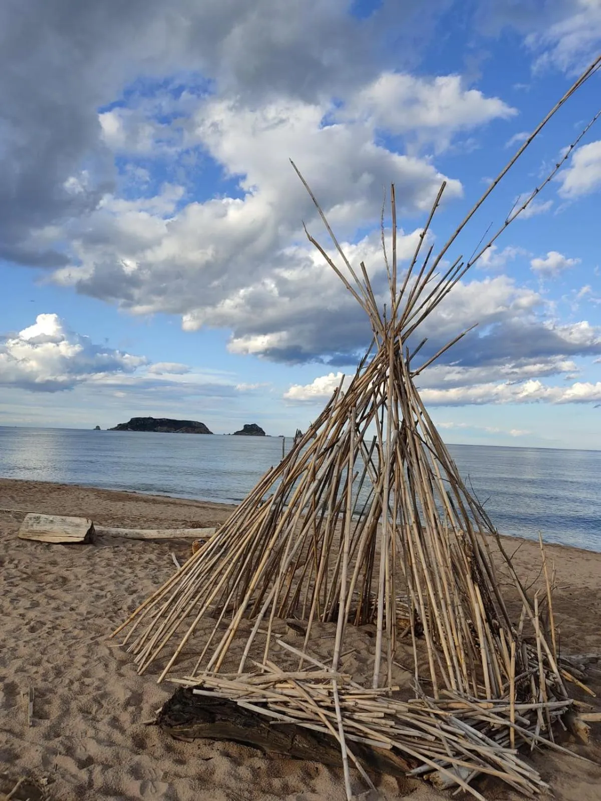 Une structure en bois se dresse sur une plage de sable face à la mer.