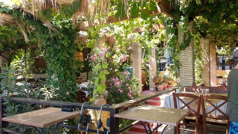 Tables et chaises disposées sur une terrasse ombragée par une végétation luxuriante.