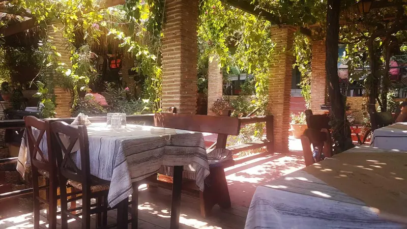 Tables et chaises en bois dressées sur une terrasse ombragée par la végétation.