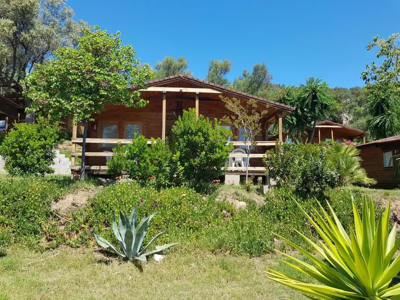 Bâtiment en bois brun avec terrasse et végétation luxuriante.