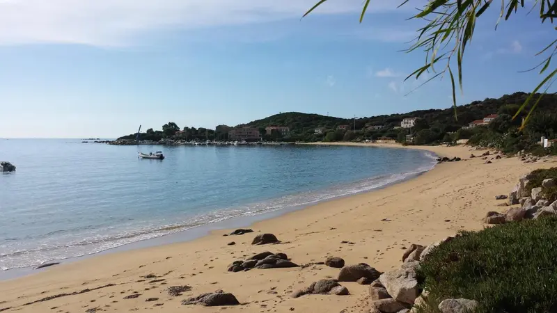 Une plage de sable fin borde une mer turquoise sous un ciel bleu.