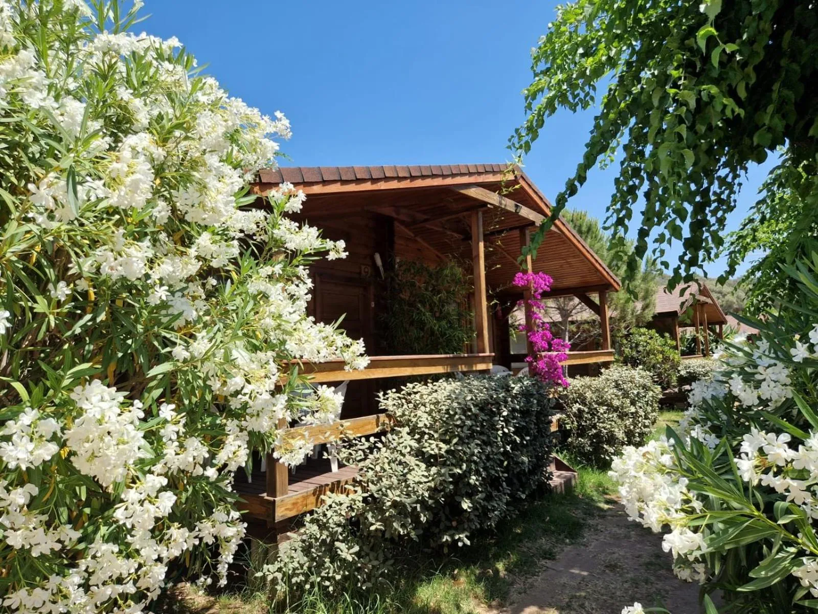 Petites maisons en bois avec des terrasses ombragées au milieu d'une végétation luxuriante.