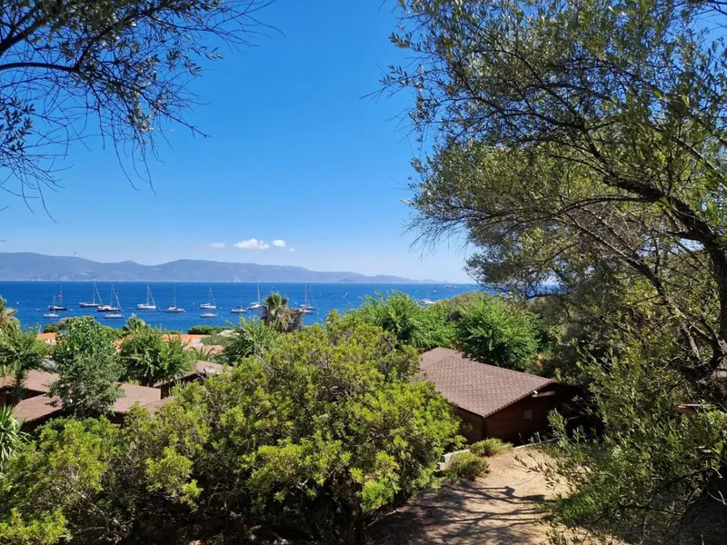 Vue sur la mer et les bâtiments depuis un jardin verdoyant.