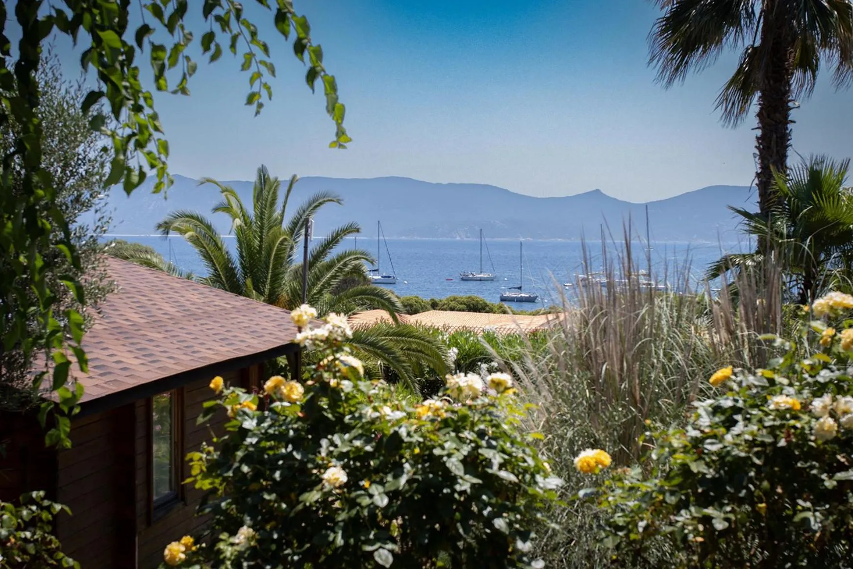 Vue sur la mer depuis un jardin fleuri avec des palmiers.