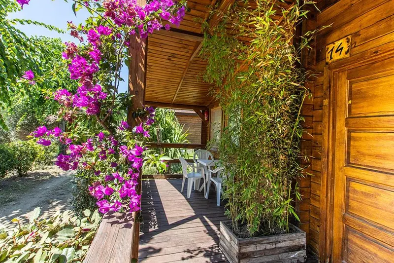 Terrasse en bois devant un bungalow en bois, décorée de fleurs.