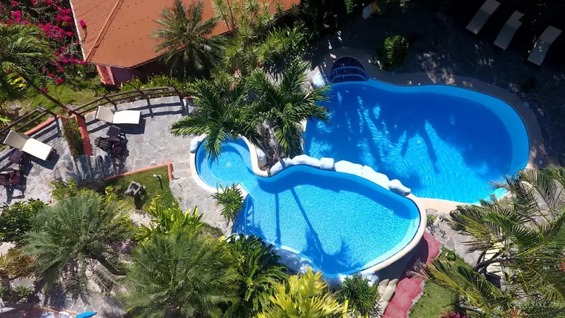 Vue aérienne d'une piscine sinueuse entourée de végétation luxuriante et de transats.