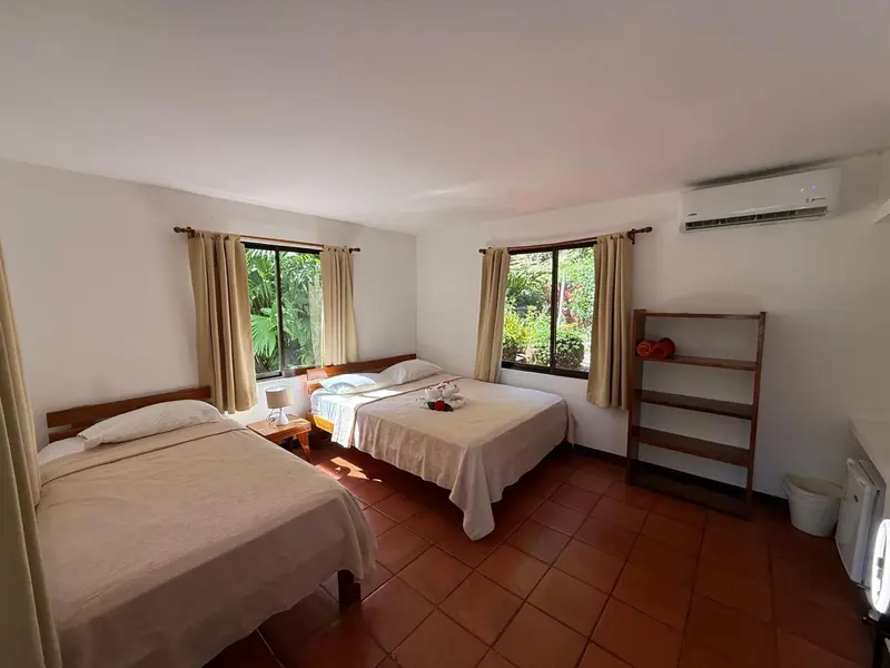 Une chambre lumineuse avec deux lits simples et une vue sur la végétation.