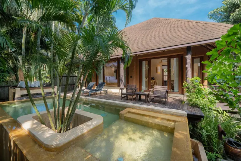 Petite piscine devant une maison au toit de chaume, entourée de végétation tropicale.