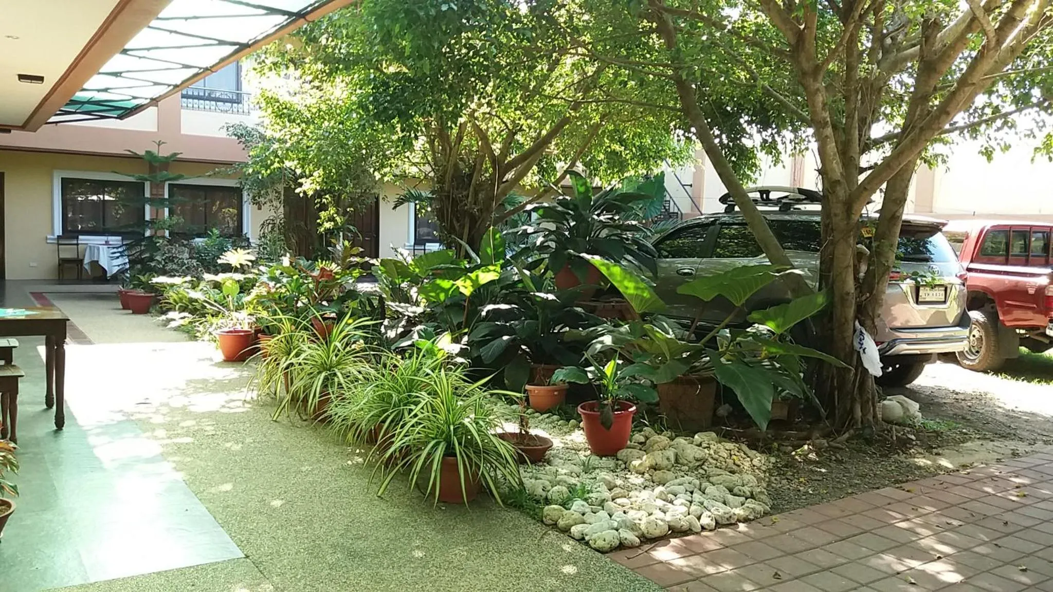 Cour intérieure verdoyante avec des plantes et des véhicules garés.