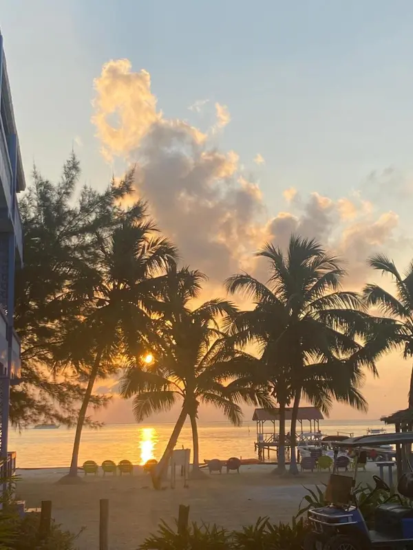 Coucher de soleil sur une plage bordée de palmiers et de transats.