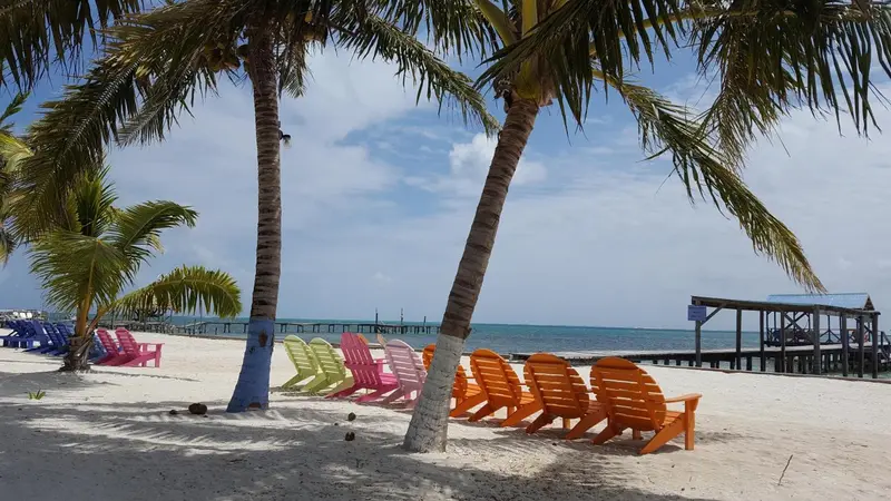Transats colorés alignés sur une plage de sable blanc bordée de palmiers.