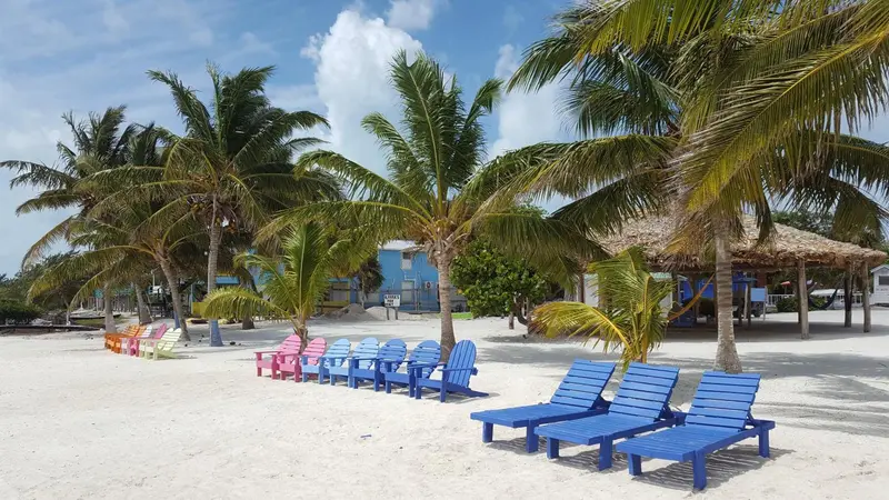 Transats colorés alignés sur une plage de sable blanc bordée de palmiers.