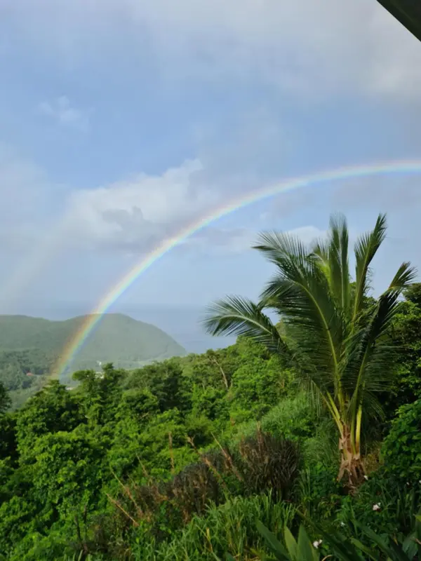 Un arc-en-ciel se dessine au-dessus d'une végétation luxuriante et d'une vue sur la mer.