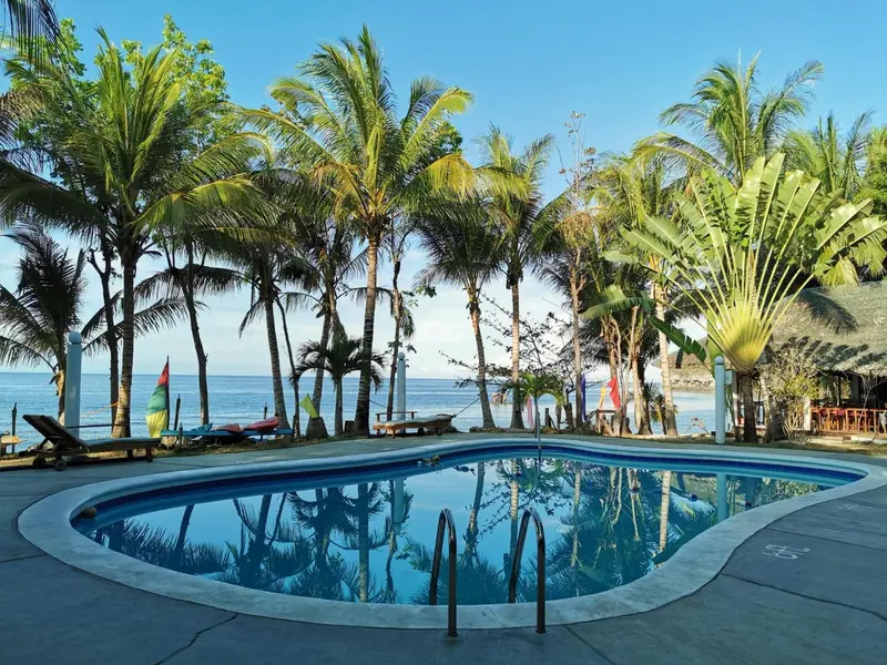 Une piscine bordée de chaises longues et de palmiers, avec une vue sur la mer.