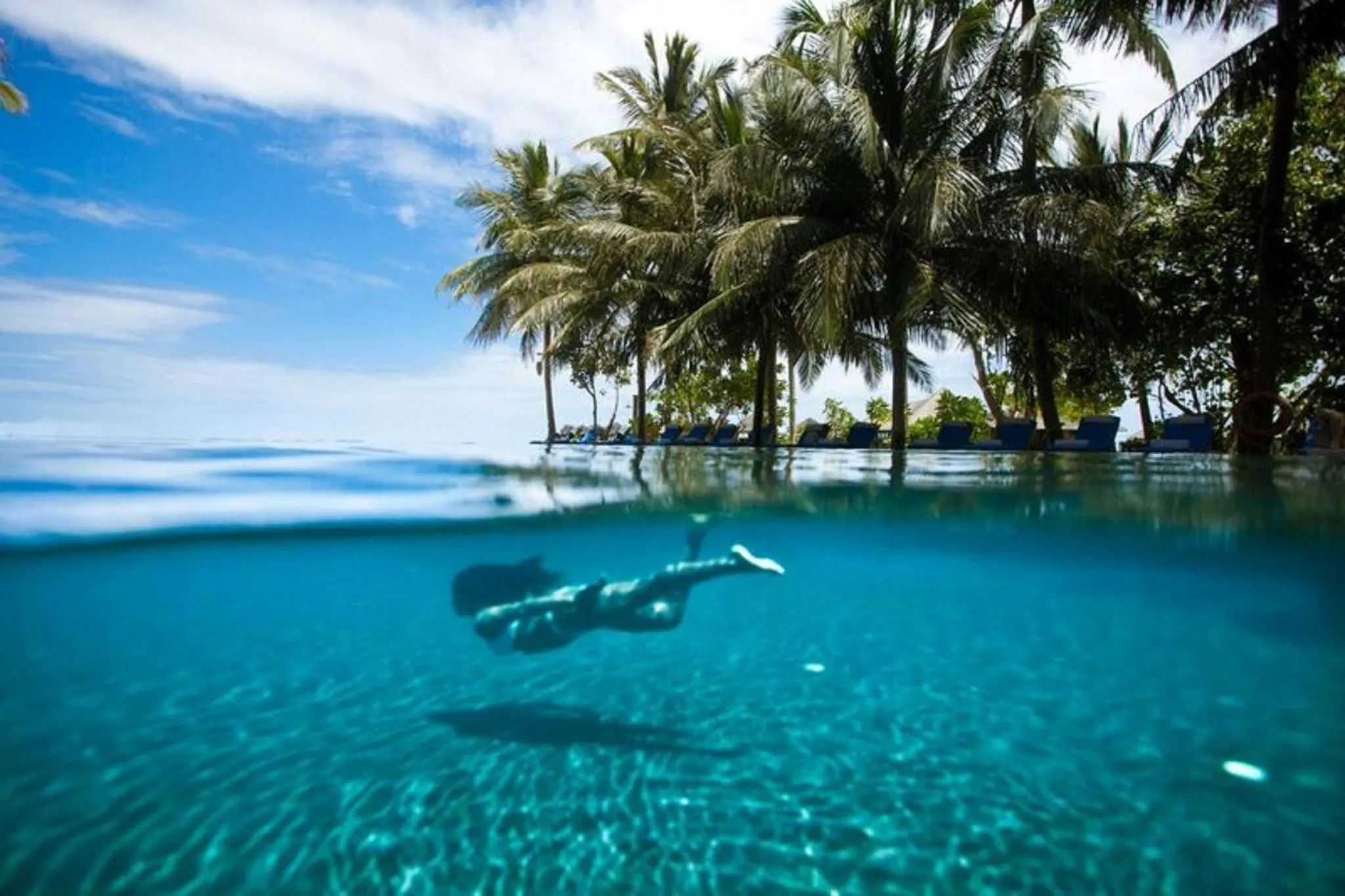 Une personne nage sous la surface d'une piscine à débordement avec vue sur la mer et les palmiers.