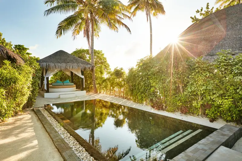 Une piscine rectangulaire bordée de verdure et de palmiers, baignée par le soleil.