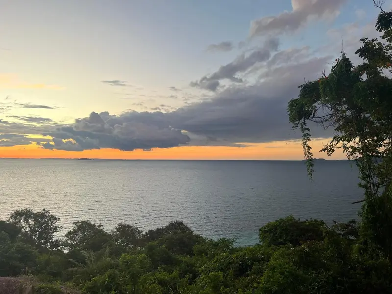 Un coucher de soleil sur la mer avec une végétation luxuriante au premier plan.