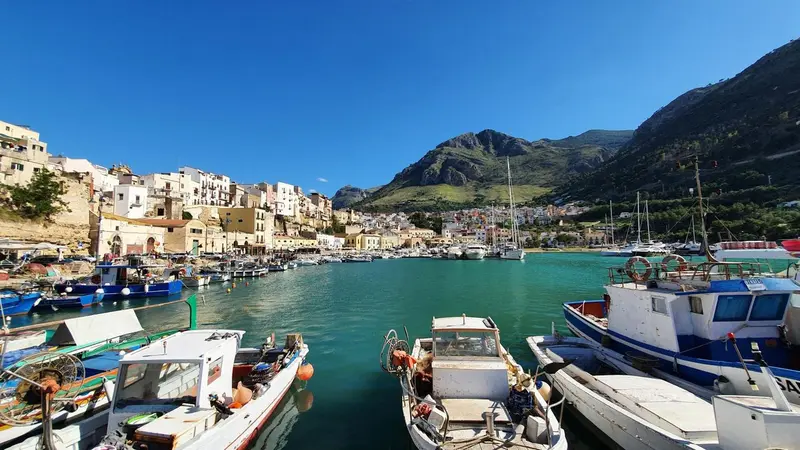 Un port de plaisance ensoleillé avec des bateaux amarrés et des bâtiments colorés sur les collines.