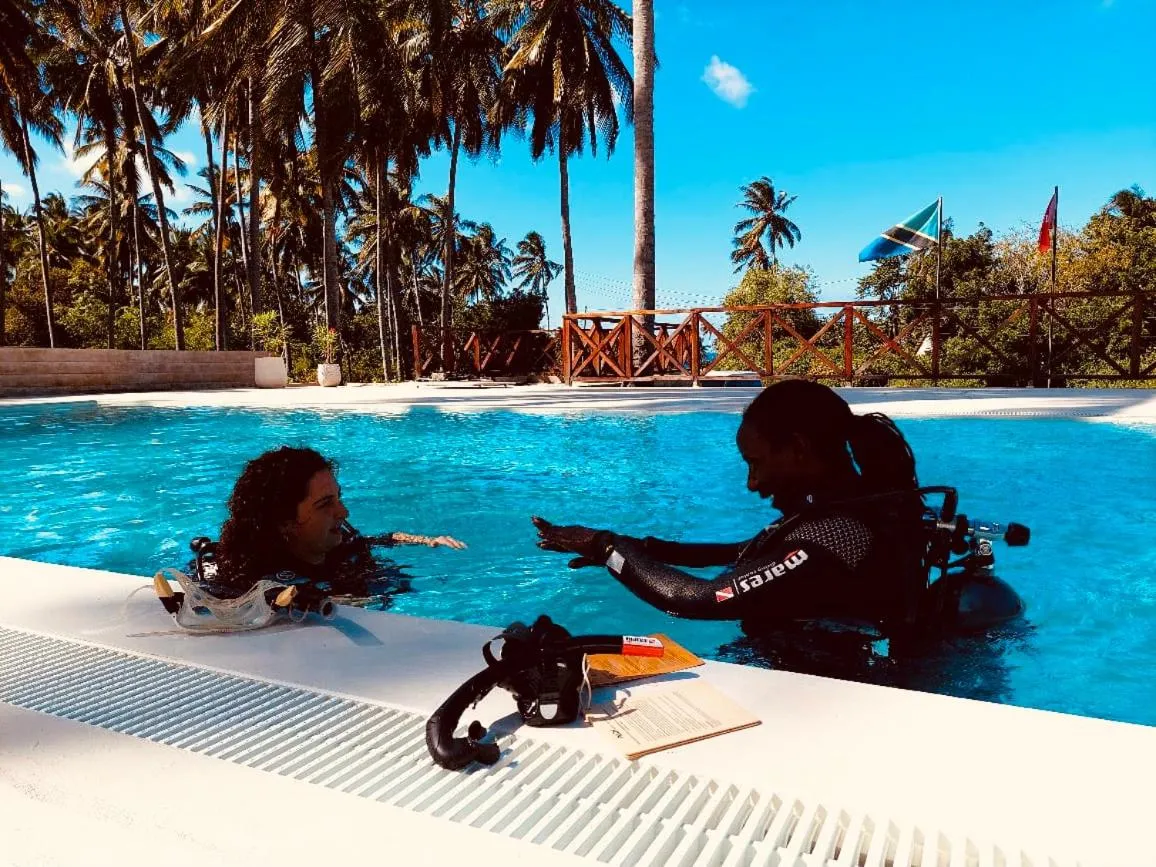 Deux personnes en combinaison de plongée se tiennent au bord d'une piscine.