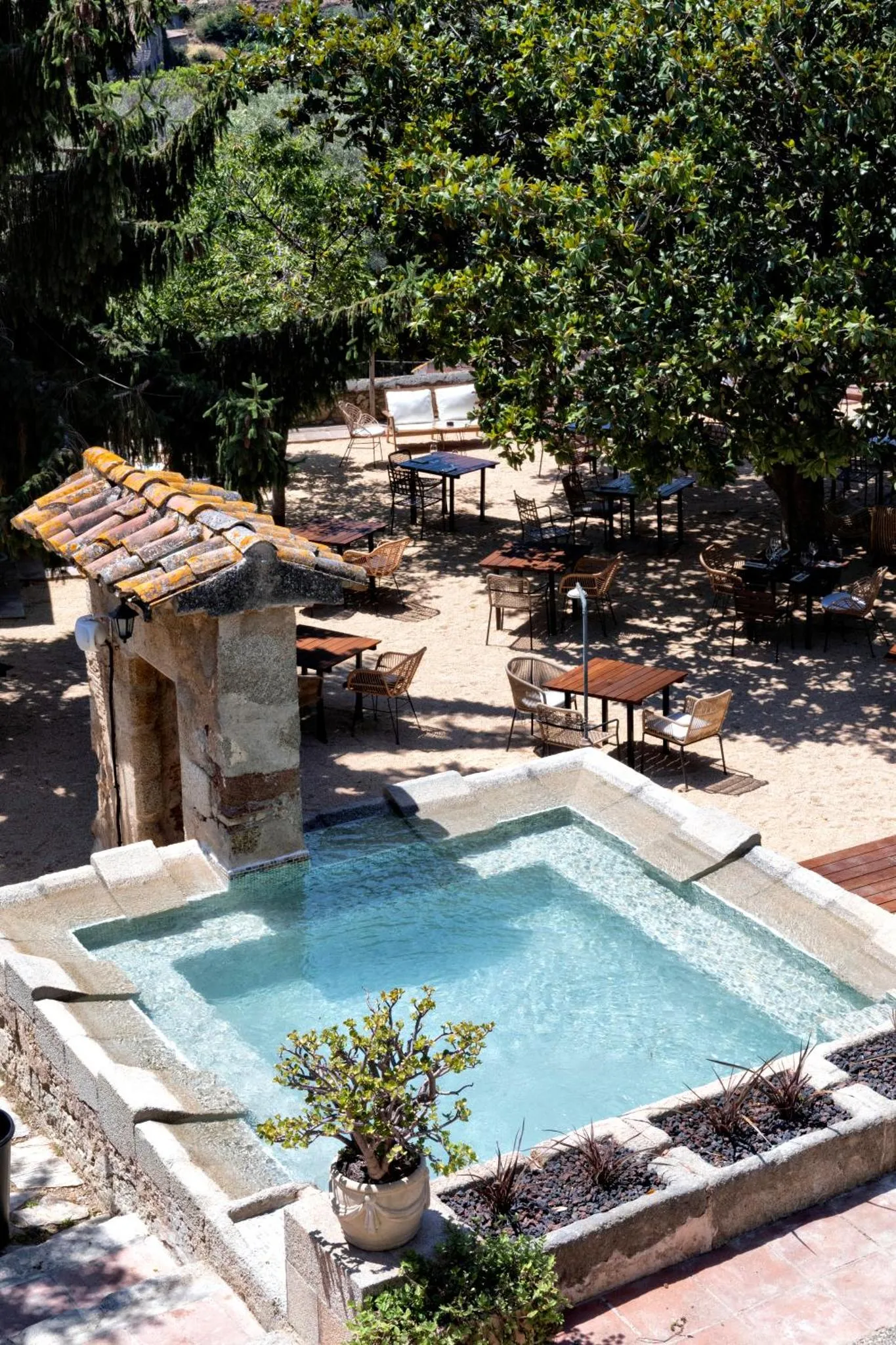 Terrasse ombragée avec tables et chaises autour d'une petite piscine.