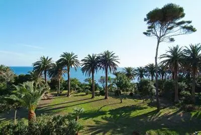 Vue d'un jardin verdoyant avec des palmiers et la mer en arrière-plan.