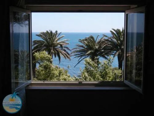 Vue sur la mer et la végétation depuis une fenêtre.