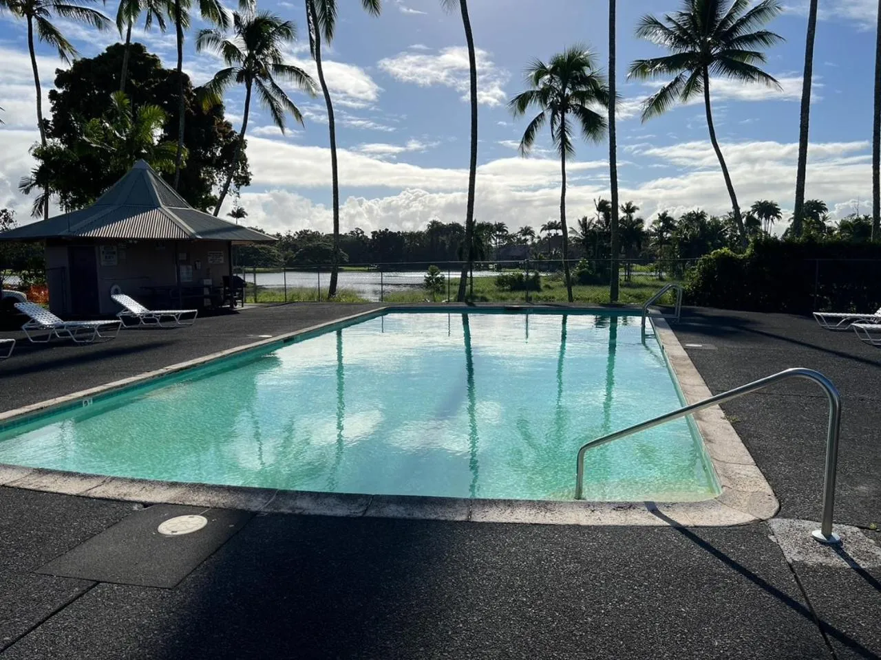 Piscine rectangulaire entourée d'un sol sombre et de palmiers.