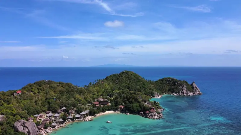 Vue aérienne d'une côte rocheuse bordée de végétation et d'une plage.