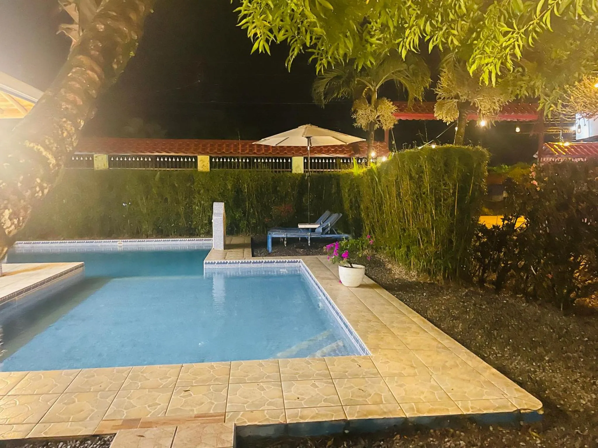 Piscine rectangulaire éclairée au crépuscule, entourée d'une végétation luxuriante et de transats.