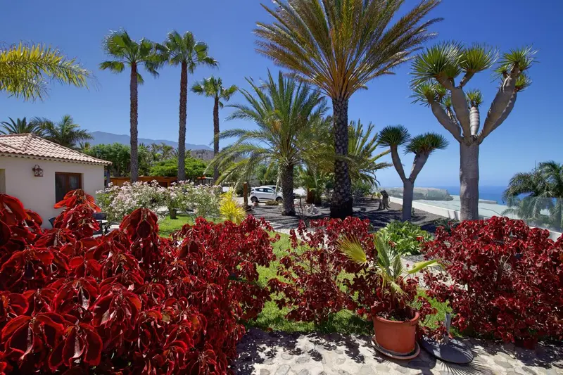 Jardin luxuriant avec végétation colorée et palmiers sous un ciel bleu.