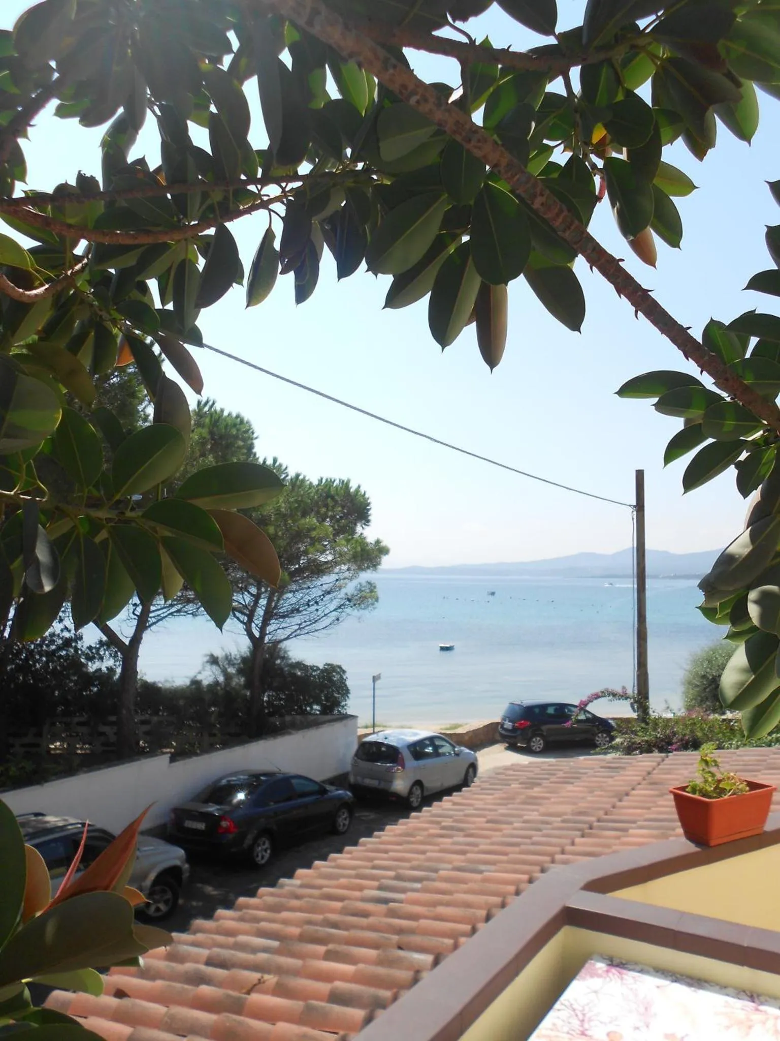 Vue sur la mer depuis un balcon ombragé par des arbres.