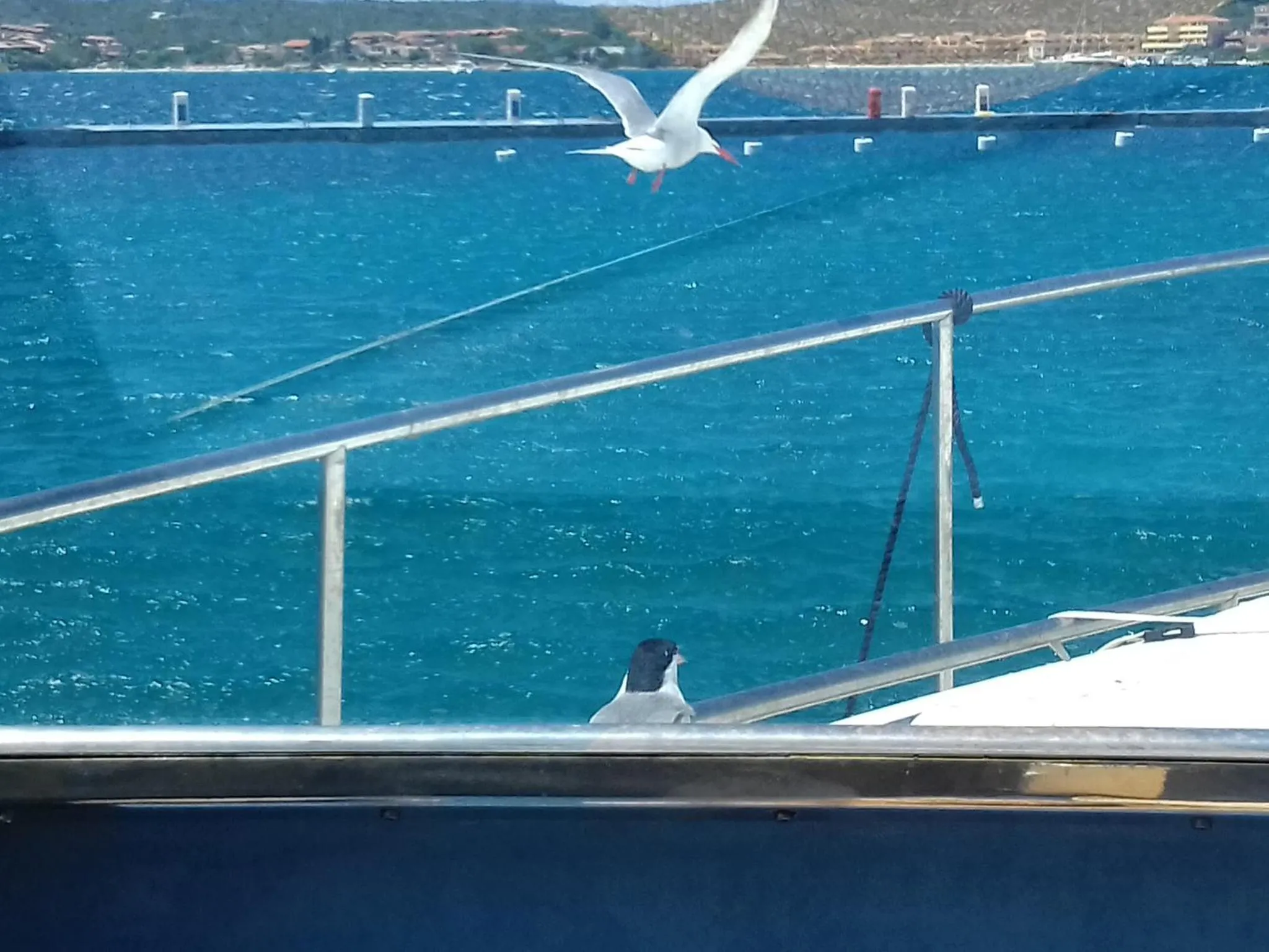 Une vue sur la mer depuis un bateau avec une personne assise sur le pont.