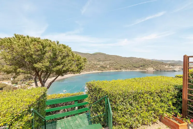 Vue sur une crique ensoleillée depuis une terrasse verdoyante.