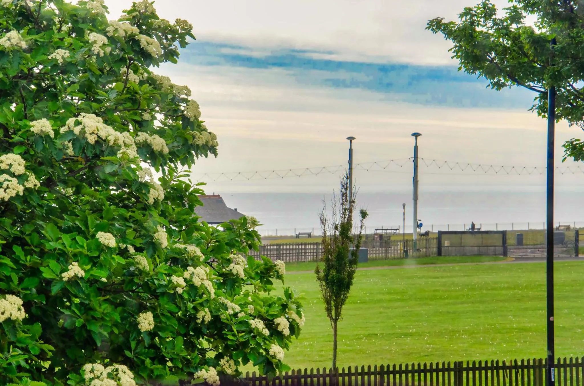 Un paysage verdoyant avec des arbres en fleurs surplombe une pelouse et une vue sur la mer.