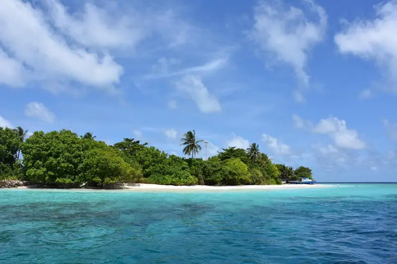 Une île tropicale bordée d'une plage de sable blanc et d'une eau turquoise.