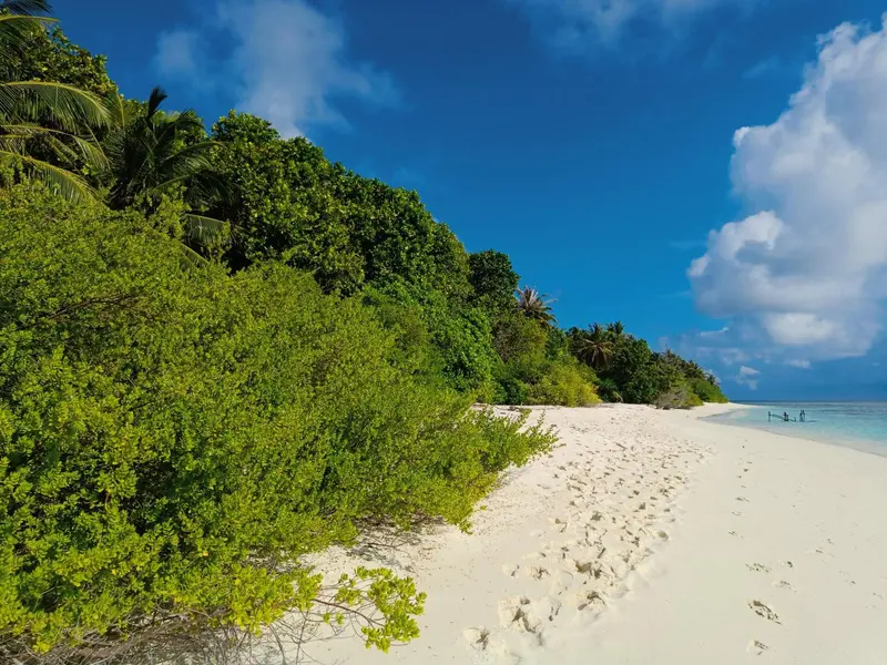 Une plage de sable blanc bordée de végétation luxuriante sous un ciel bleu.