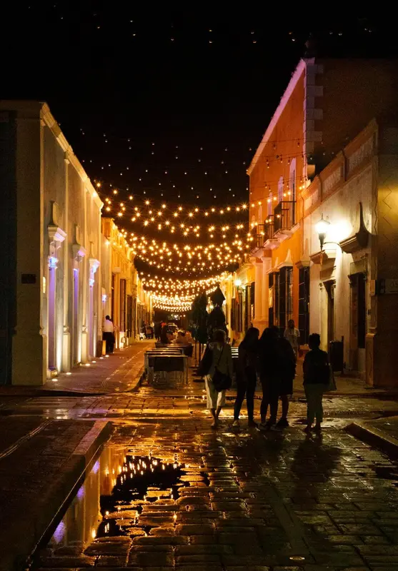 Une rue piétonne illuminée par des guirlandes lumineuses, avec des passants.