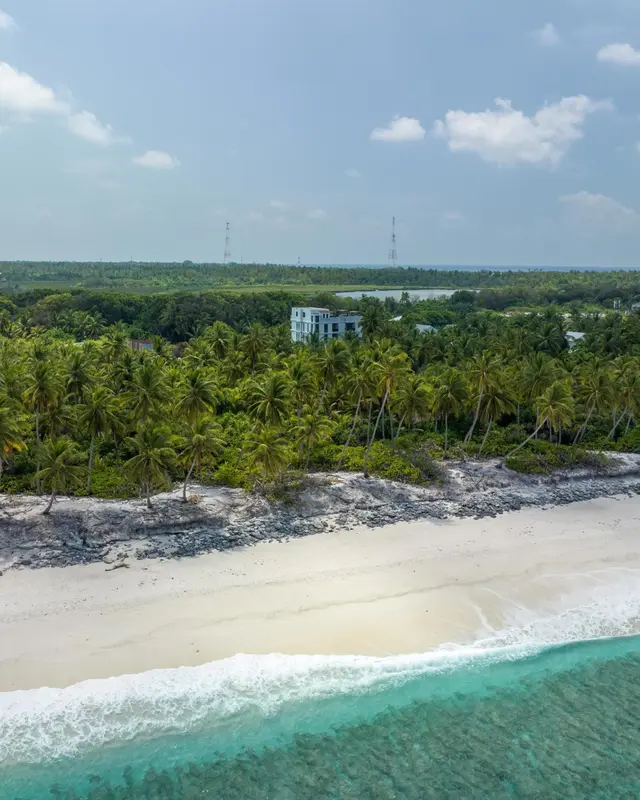 Vue aérienne d'une plage de sable blanc bordée de palmiers et d'une végétation luxuriante.