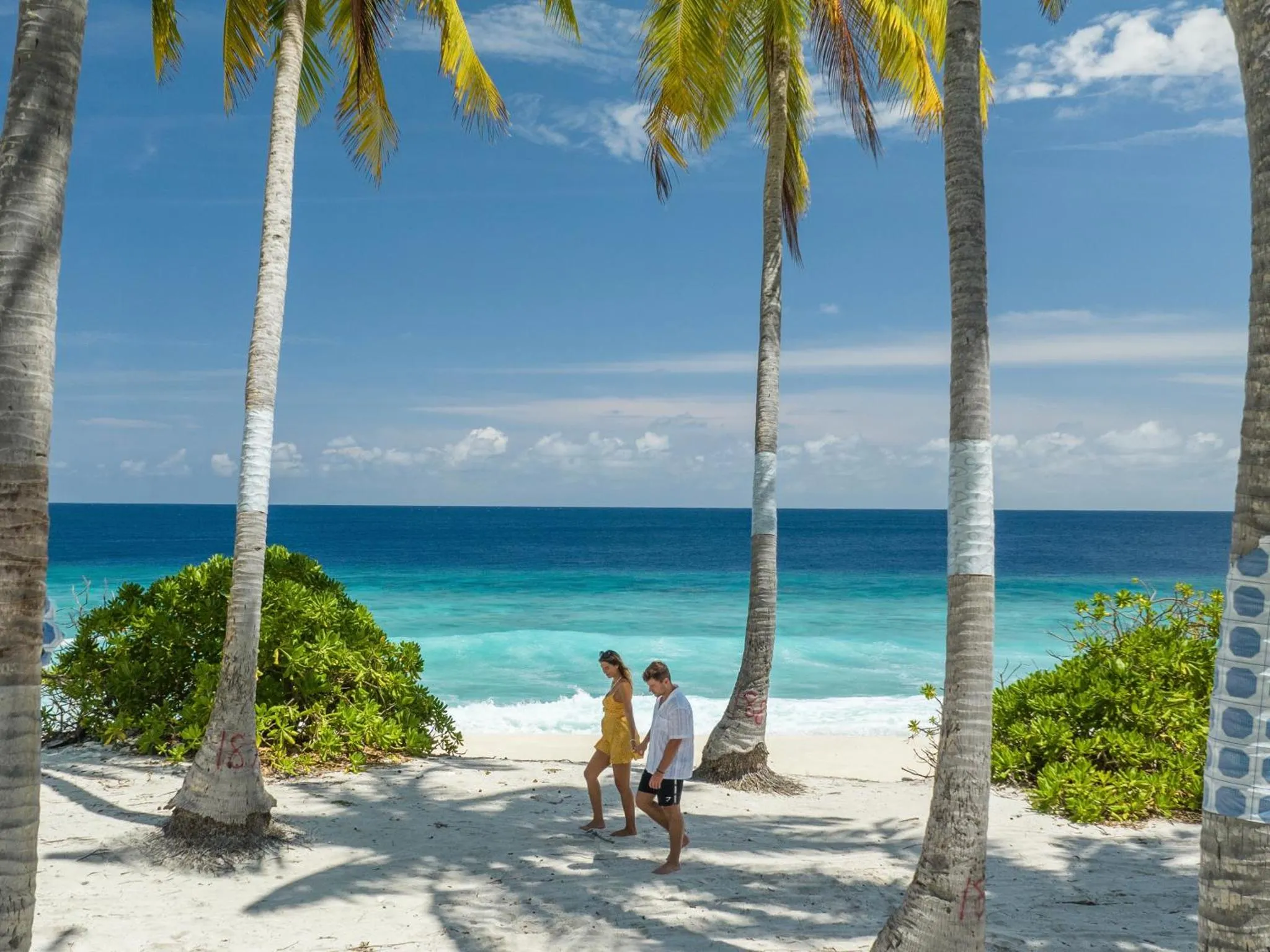 Une plage de sable blanc bordée de palmiers, avec deux personnes se promenant sur le rivage.