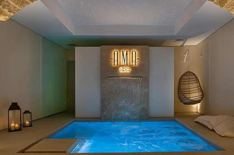 Espace de relaxation avec cascade et bassin intérieur.