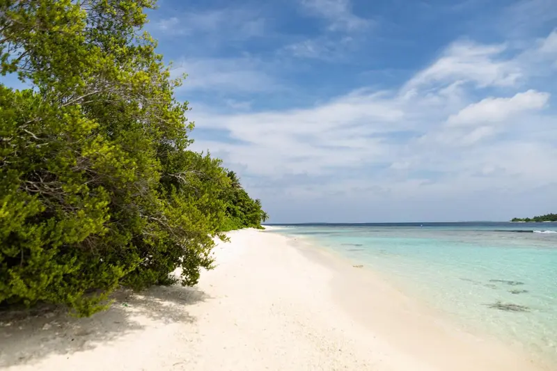 Plage de sable blanc bordée de végétation luxuriante sous un ciel bleu.