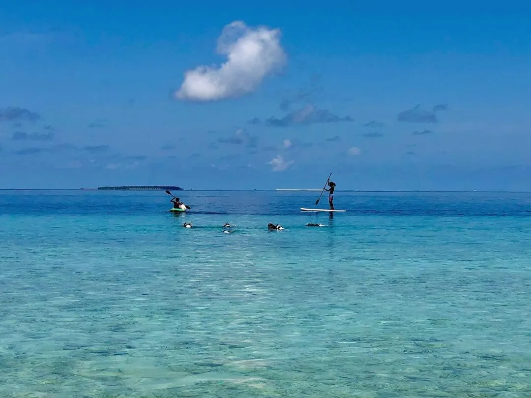 Eau turquoise et ciel bleu avec des personnes pratiquant le paddleboard.