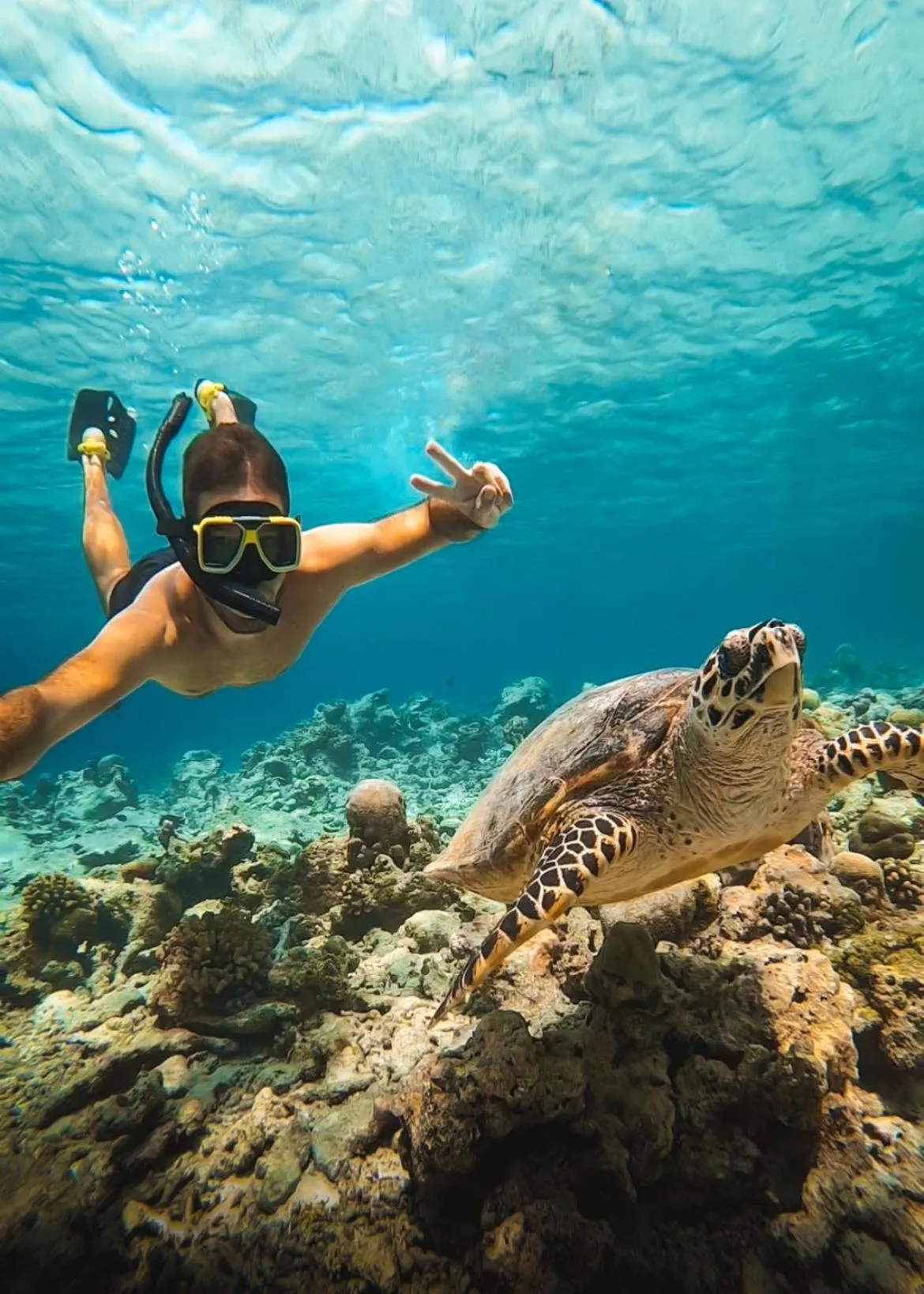 Un nageur fait signe de la main au-dessus d'une tortue marine dans une eau turquoise.