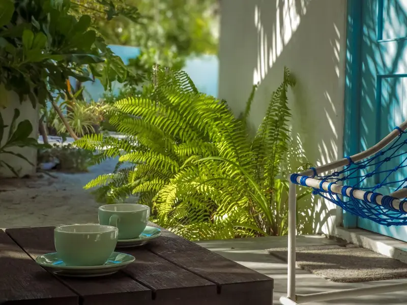 Deux tasses sur une table en bois devant une végétation luxuriante et un hamac bleu.